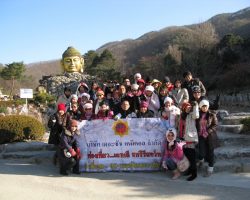 Company's Annual Trip in South Korea, 2010